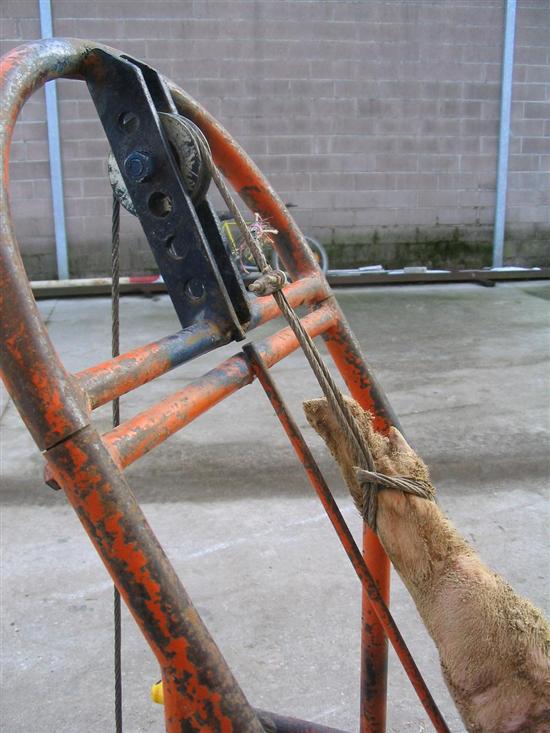 carrello morti