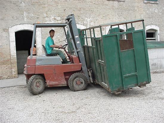 cassone sul muletto