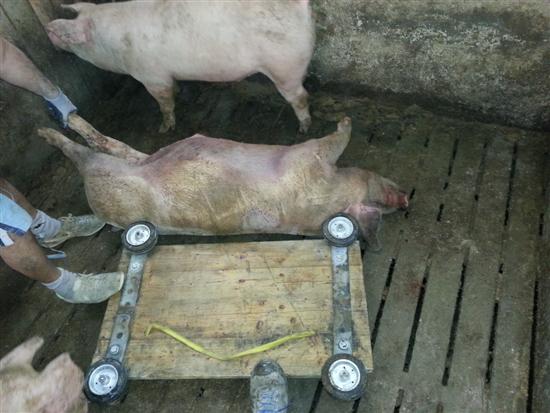 pannello sposta morti
