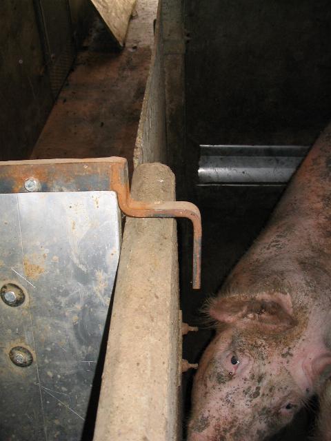 pannello corridoio