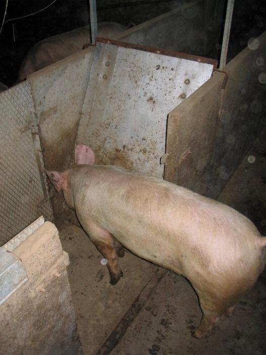 pannello corridoio