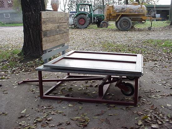 rampa suinetti