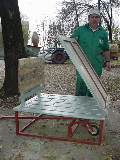 rampa suinetti