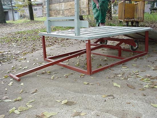 rampa suinetti