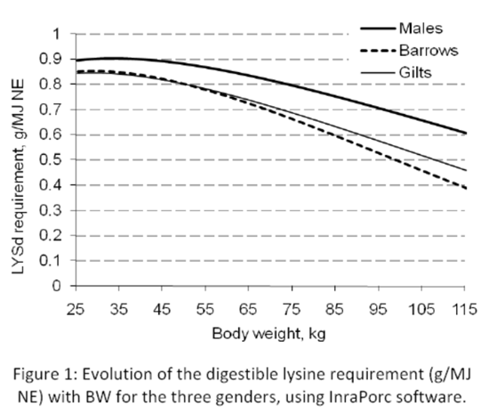 Evoluzione del fabbisogno di lisina per genere