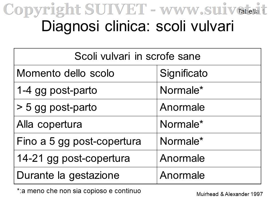 Schema per diagnosi clinica di SSV