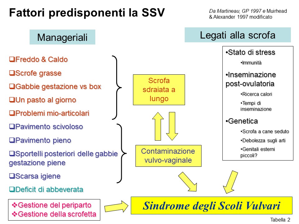 Schema dei fattori di rischio della SSV