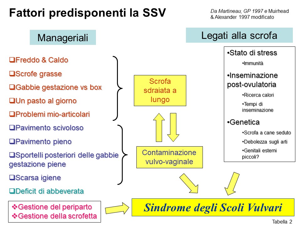 Sindrome degli scoli vulvari (Prima parte)