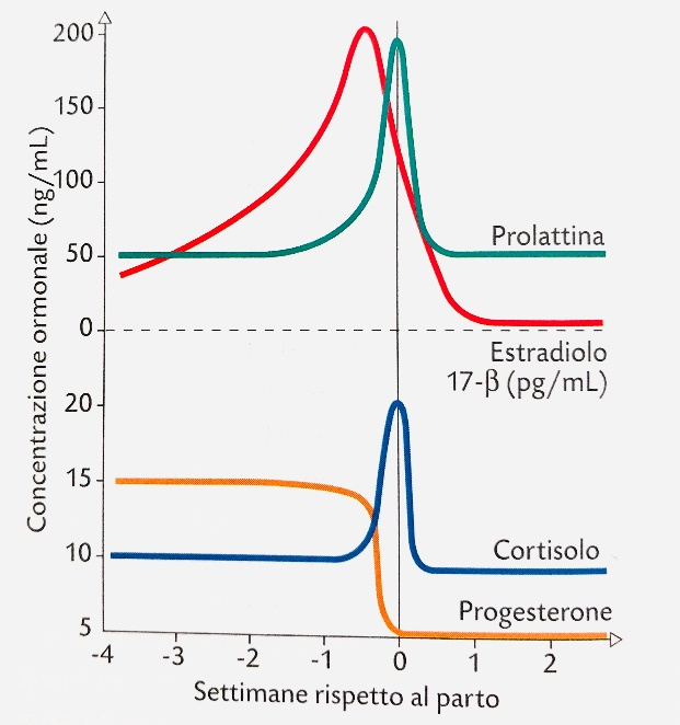 Fig.2: cambiamenti ormonali nel periparto