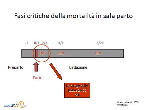 Tavola 1: distribuzione della mortalità dei suinetti durante la lattazione, dai nati vivi agli svezzati