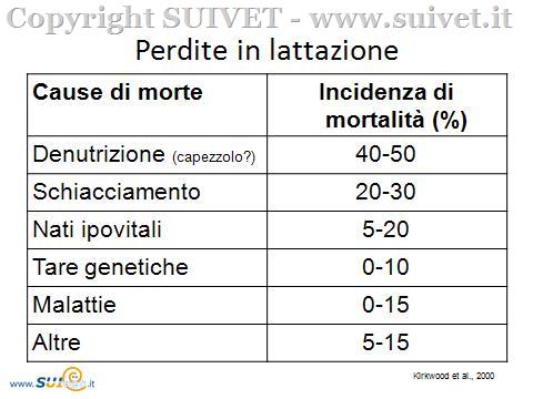 Tavola 2: distribuzione percentuale delle varie cause di mortalità dei suinetti, durante la lattazione
