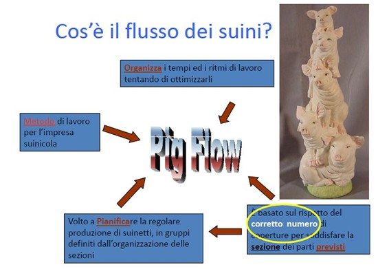 Cos'è il pig flow