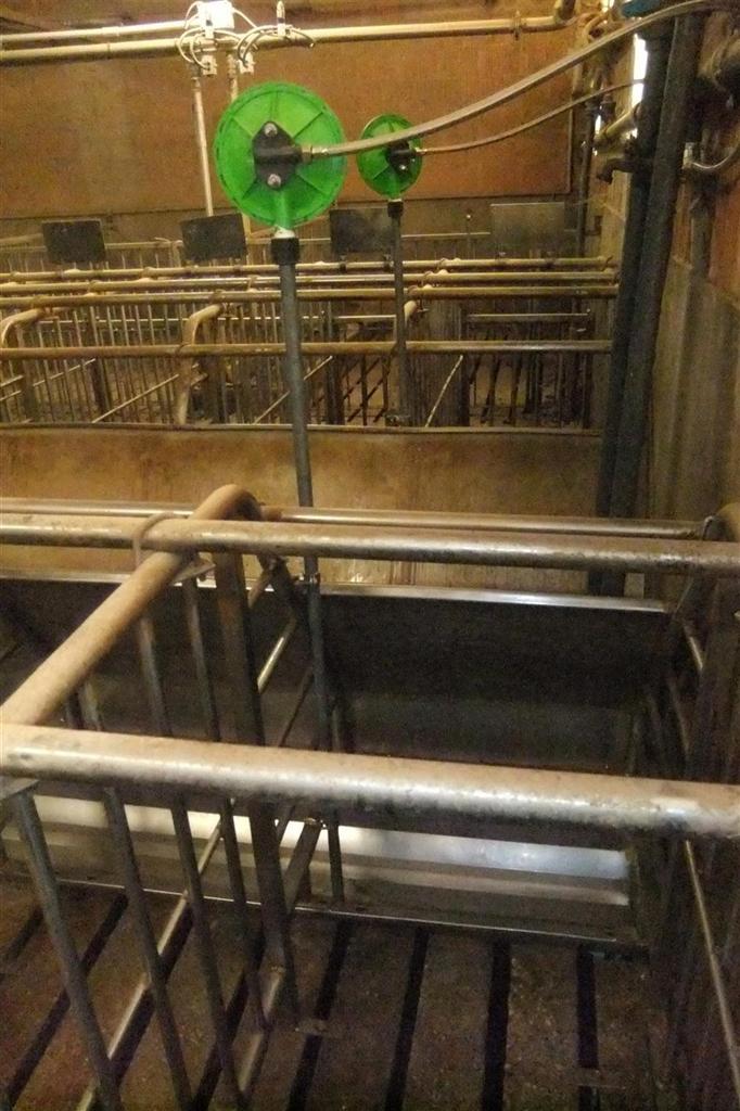 acqua mangiatoia gestazione