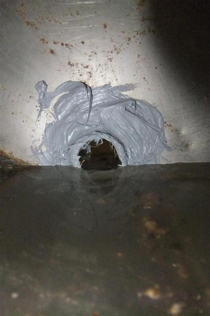 acqua mangiatoia gestazione