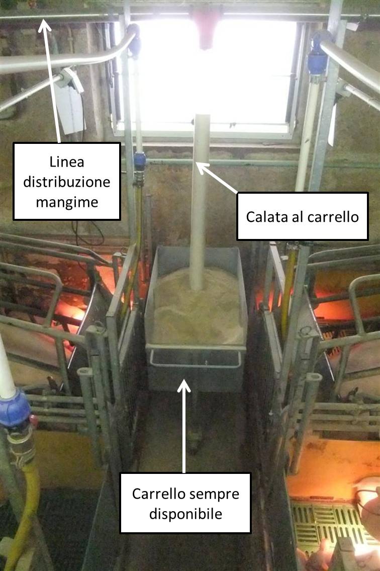 carrello mangime sala parto