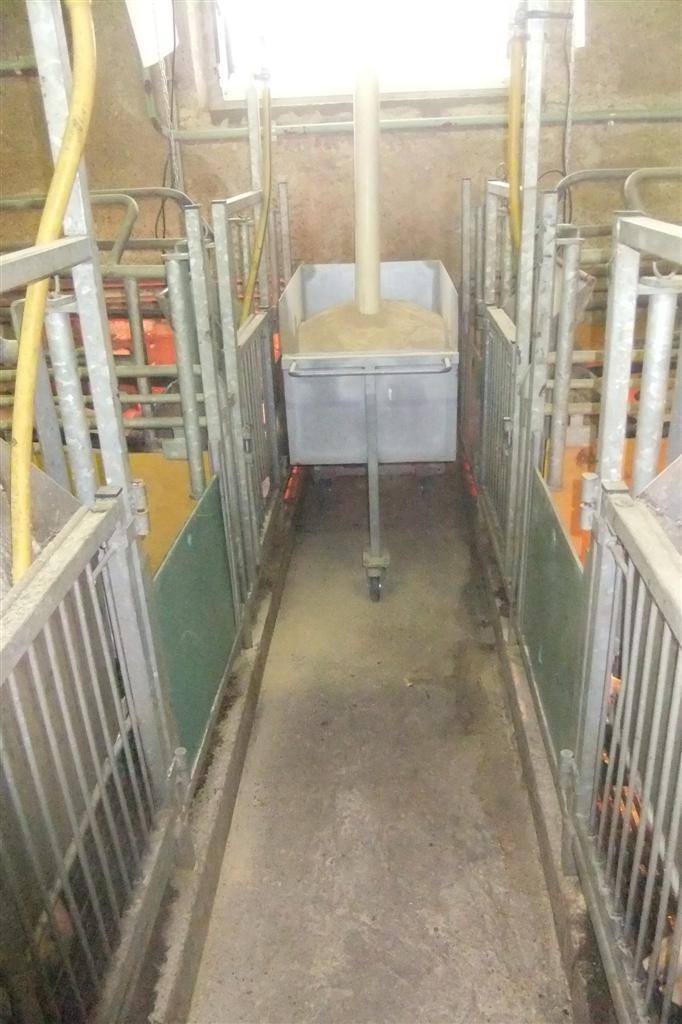 carrello mangime sala parto