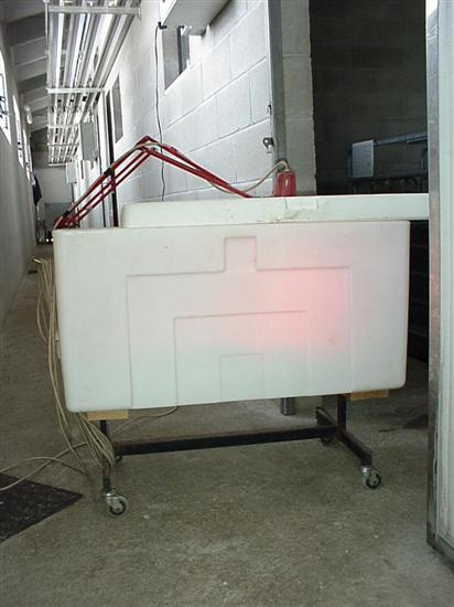 incubatrice