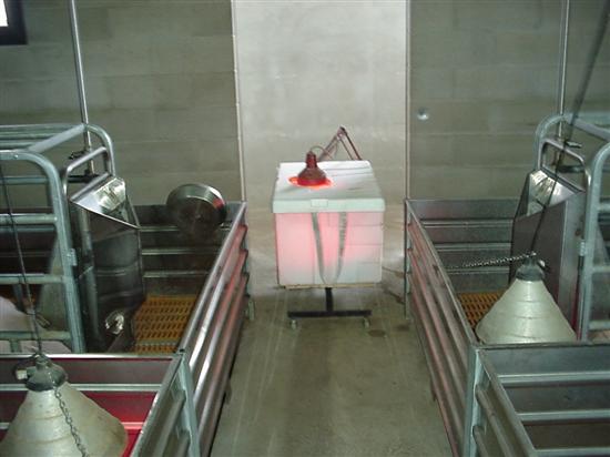 incubatrice