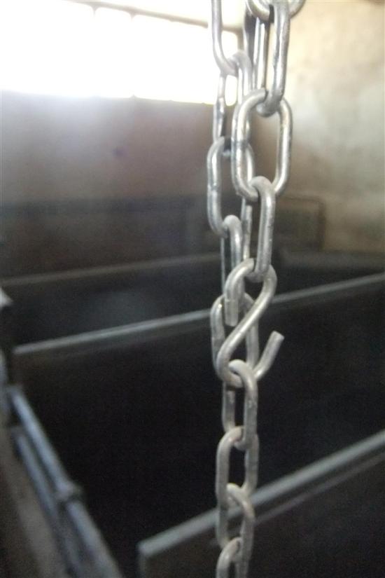 ceppo svezzamento