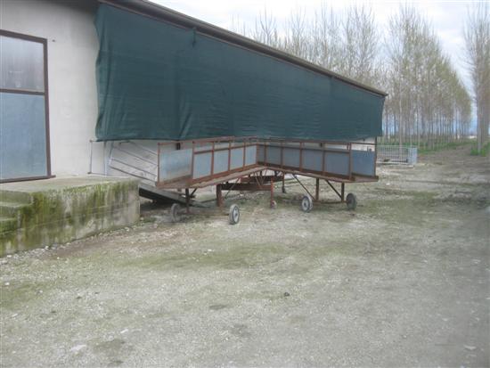 passerella scrofe
