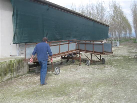 passerella scrofe