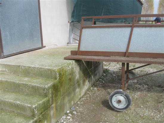 passerella scrofe
