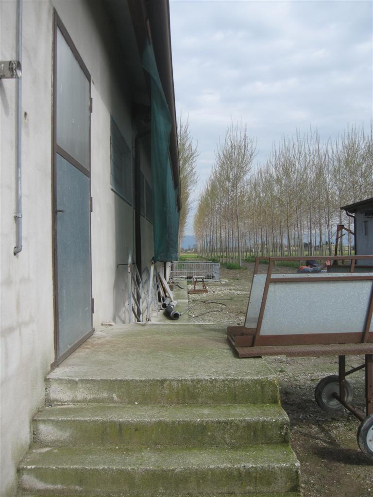 passerella scrofe