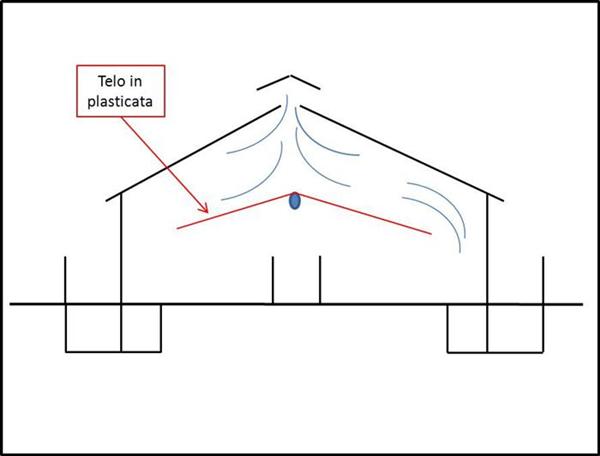 telo defecazione