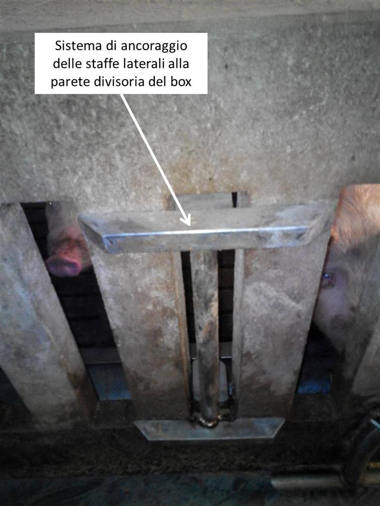 transenna ingrasso