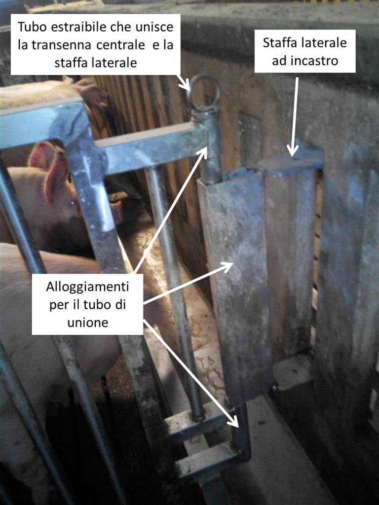 transenna ingrasso