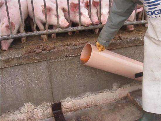 tubo liquame