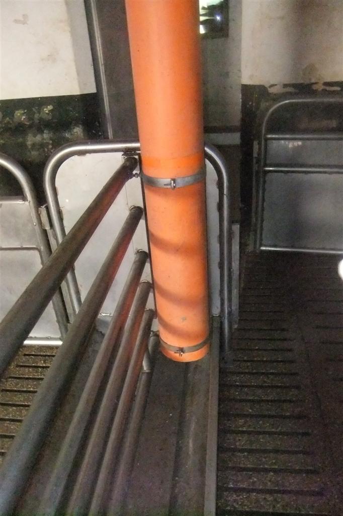 tubo mangime secco