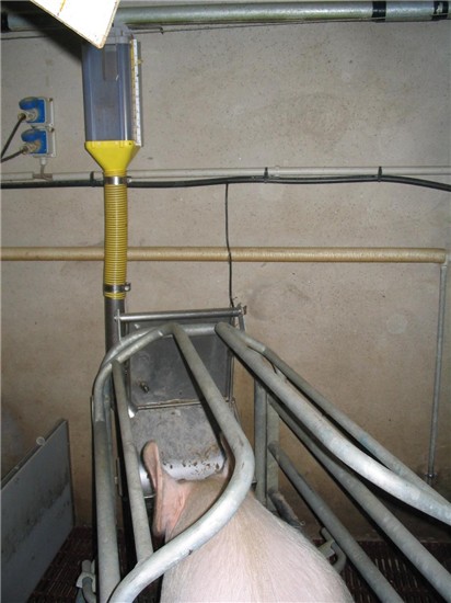 acqua in mangiatoia