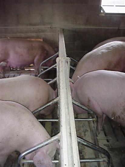 barra alimentazione