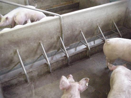 barra alimentazione