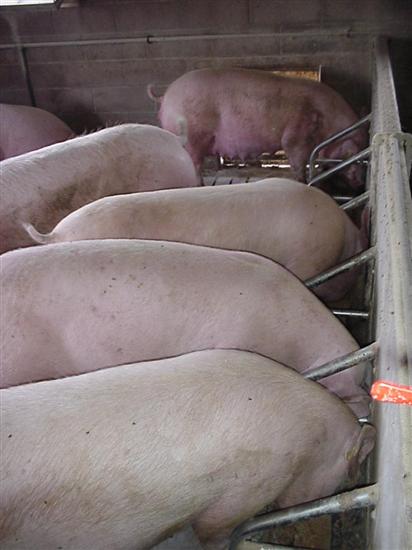 barra alimentazione