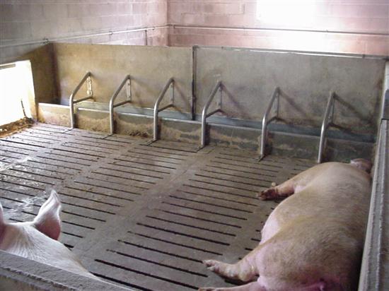barra alimentazione