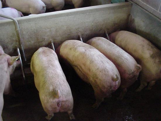 barra alimentazione